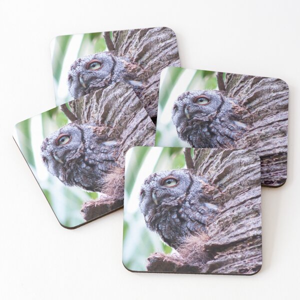 Item preview, Owl - Eastern Screech Owl by Cesca Veo designed and sold by cescaveo.