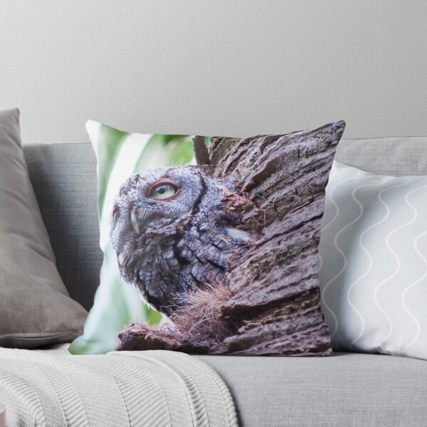 Item preview, Owl - Eastern Screech Owl by Cesca Veo designed and sold by cescaveo.