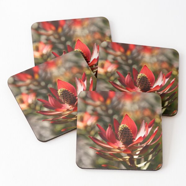 Item preview, The Not So Faraway Garden Series 2 - 31 designed and sold by beeden.