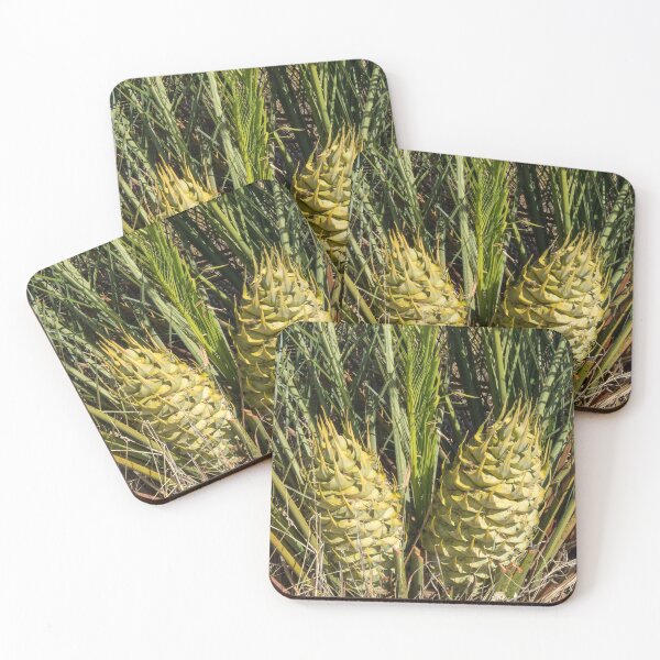 Item preview, Cycad - Macrozamia fraseri designed and sold by DPalmer.