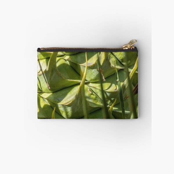 Item preview, Macrozamia fraseri-  Cycad Seed Pod - Female designed and sold by DPalmer.