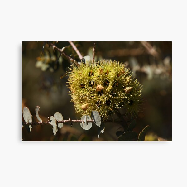 Item preview, The Not So Faraway Garden Series 2 - 45 designed and sold by beeden.