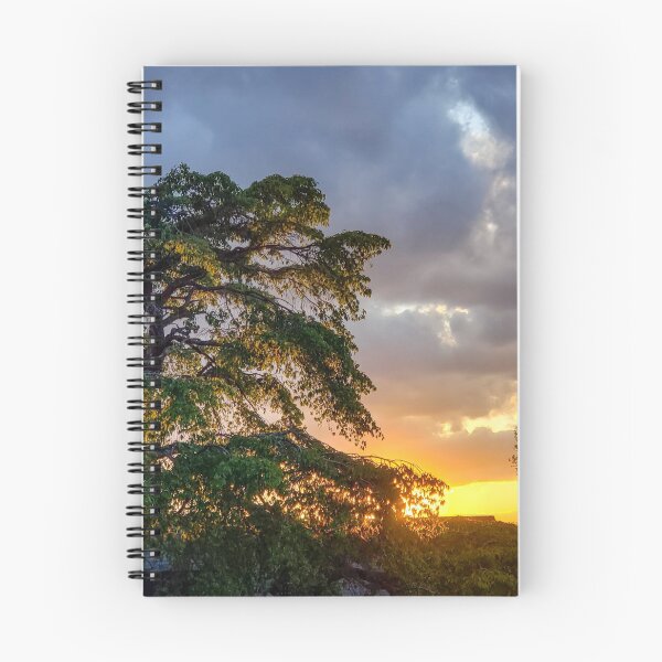 Item preview, Twilight Trees  designed and sold by Erik Stefanowski.