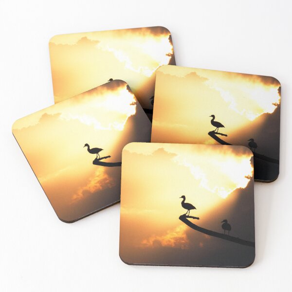 Item preview, Whistling Duck at Sunset Greencay Wetlands by Cesca Veo designed and sold by cescaveo.