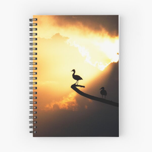 Item preview, Whistling Duck at Sunset Greencay Wetlands by Cesca Veo designed and sold by cescaveo.
