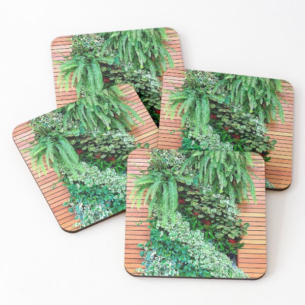 Item preview, Monterey Flora Study 1  designed and sold by Robert Meyers-Lussier.