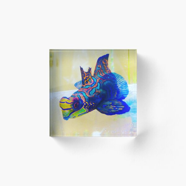 Red Mandarin Fish Acrylic Block