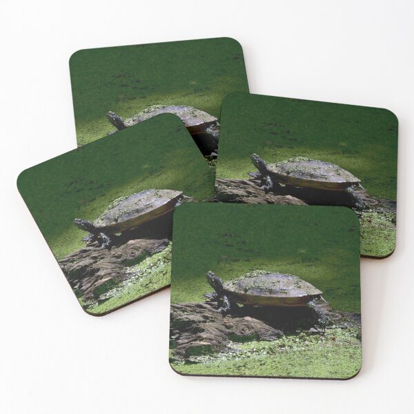 Item preview, turtle in the green designed and sold by grizzbass.