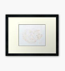 Sleeping Kitty Sketch Framed Print