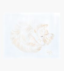 Sleeping Kitty Sketch Photographic Print