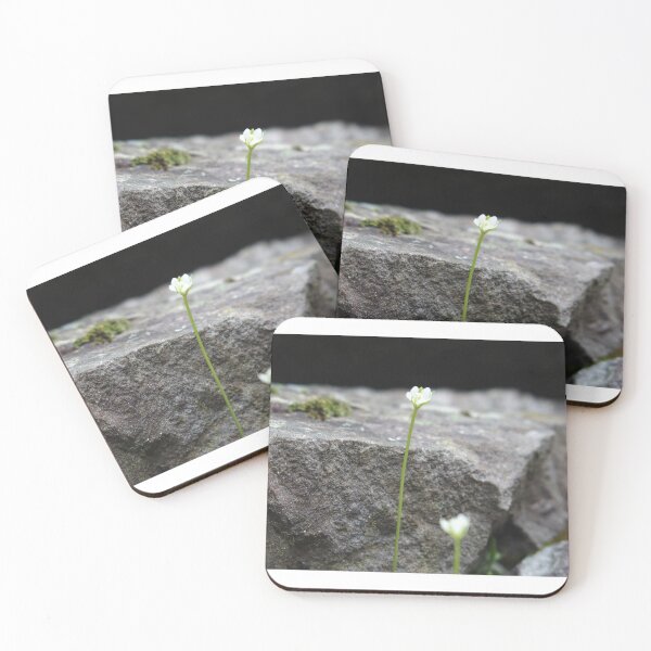 Item preview, Wildflowers on Rock designed and sold by calebjs.