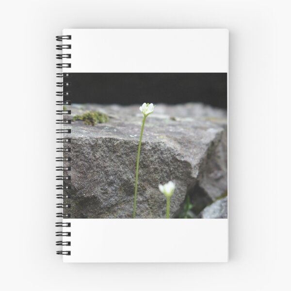 Item preview, Wildflowers on Rock designed and sold by calebjs.