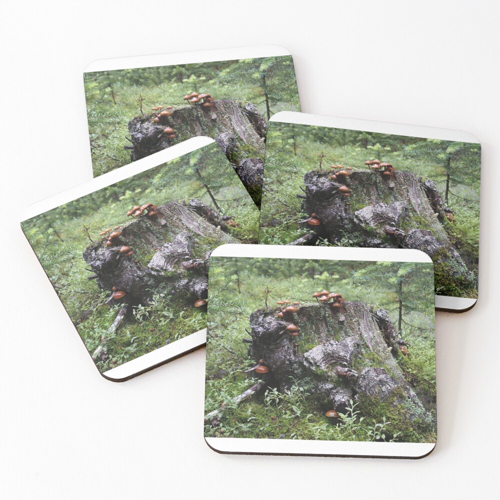 Item preview, Coasters (Set of 4) designed and sold by calebjs.