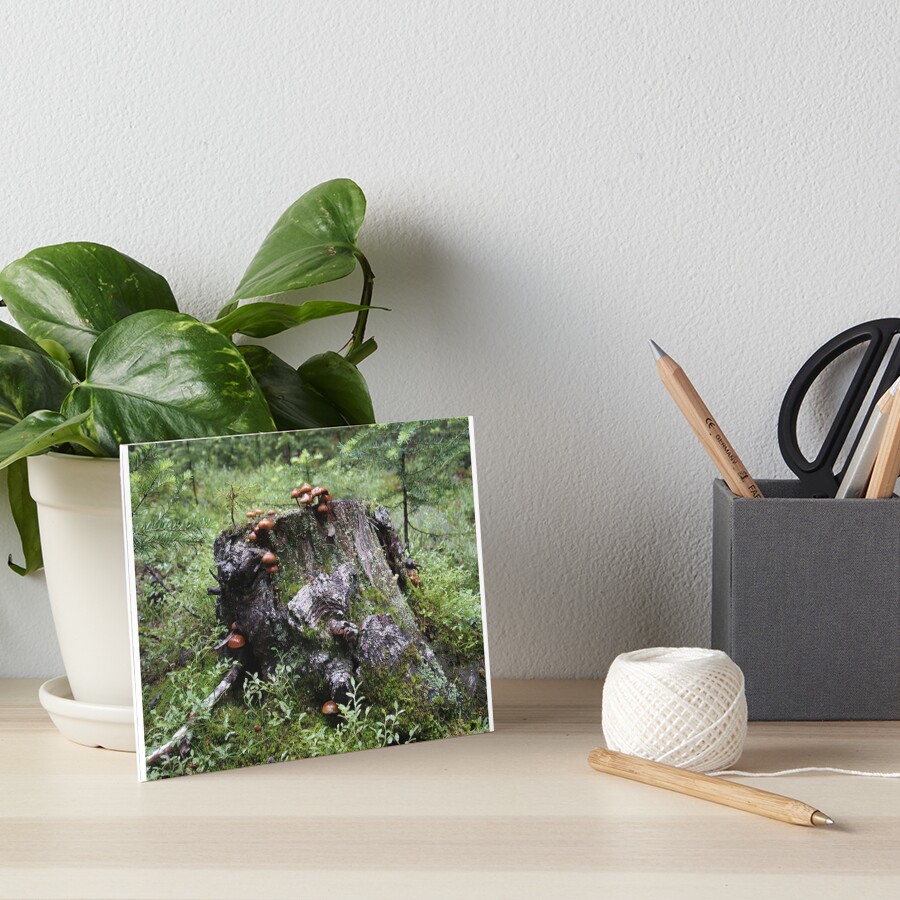 Item preview, Art Board Print designed and sold by calebjs.
