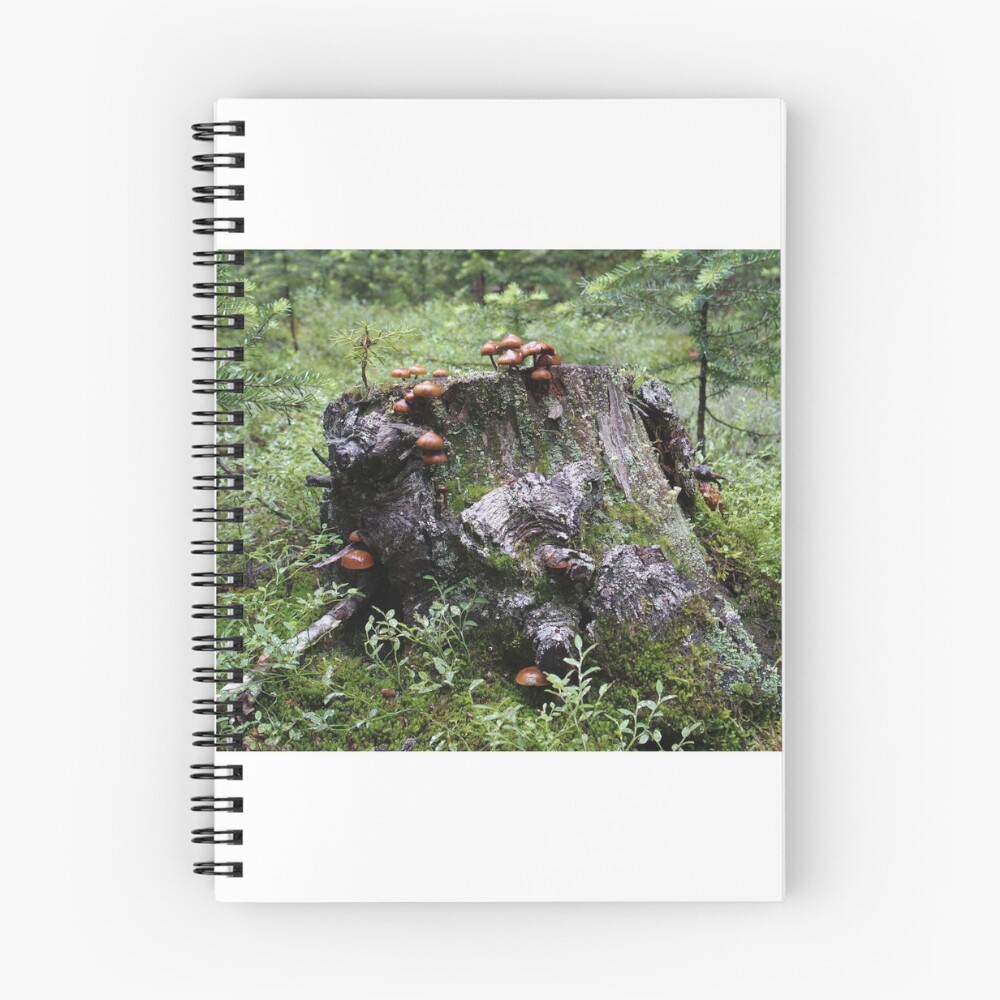 Item preview, Spiral Notebook designed and sold by calebjs.