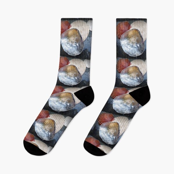 Item preview, SEA SHELLS COLLECTION designed and sold by Elaine Bawden.