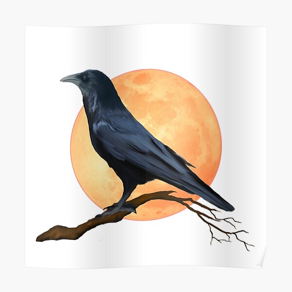 Full Moon Raven Poster