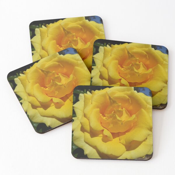 Item preview, Fresh & Beautiful! Gold Bunny Rose. Climber. designed and sold by RitaBlom.