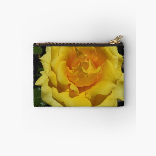 Item preview, Fresh & Beautiful! Gold Bunny Rose. Climber. designed and sold by RitaBlom.
