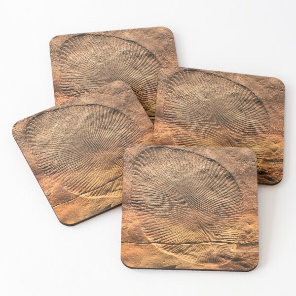 Item preview, Fossil Dickinsonia Costata designed and sold by etakkate.