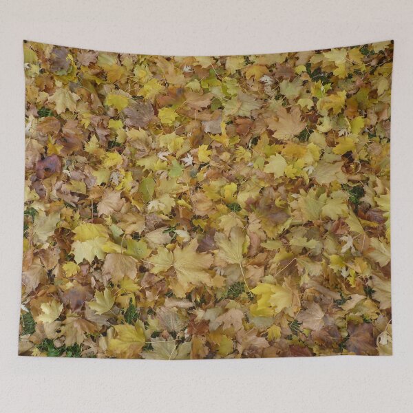 Item preview, Autumn gift designed and sold by Martin Boisvert.