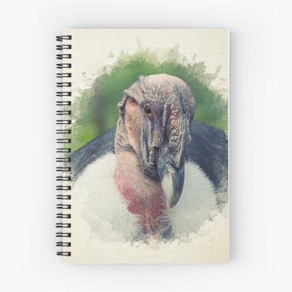 Item preview, Painting of an Andean Condor designed and sold by Pearcatprod.
