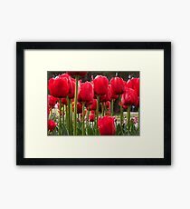Red Tulips Framed Print