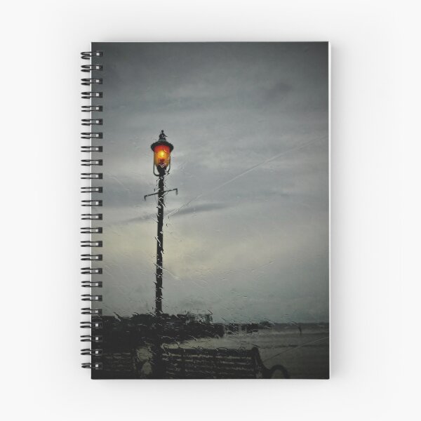 Item preview, Lamp Post and the Rain designed and sold by Lien  Titus.