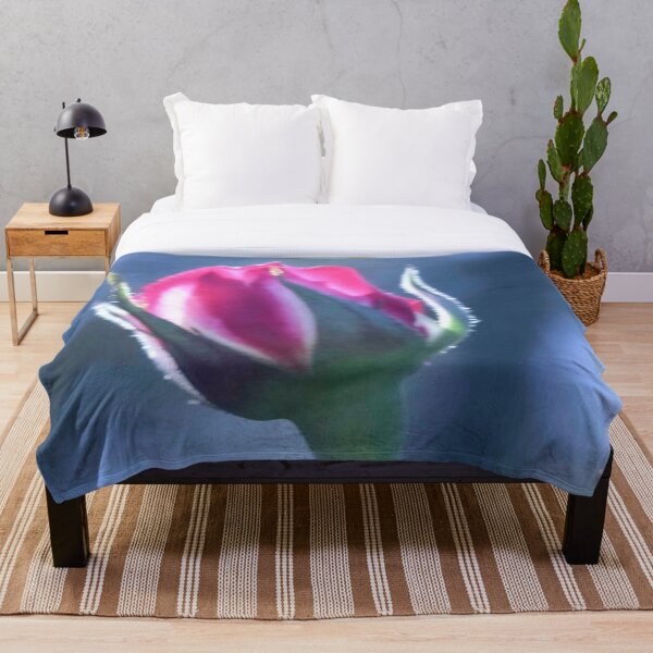 Item preview, pink rose Weranga QLD Australia designed and sold by Amanda Marchant Fine Art Photography.