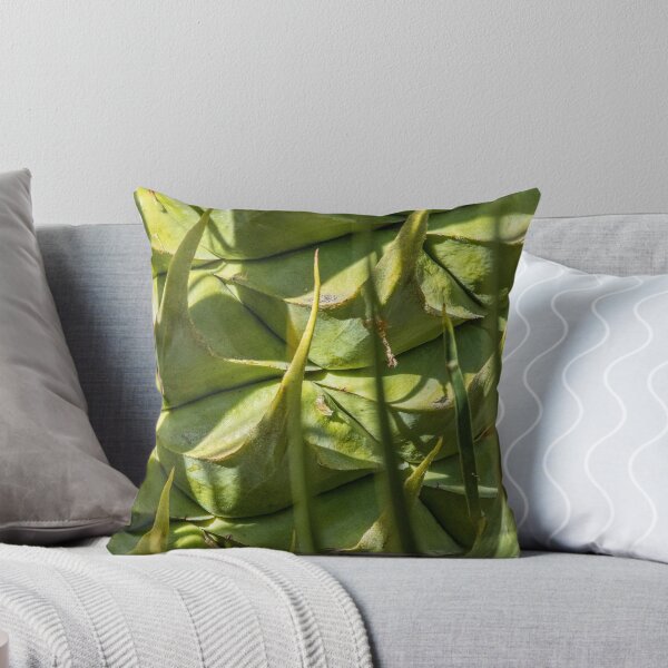 Item preview, Macrozamia fraseri-  Cycad Seed Pod - Female designed and sold by DPalmer.