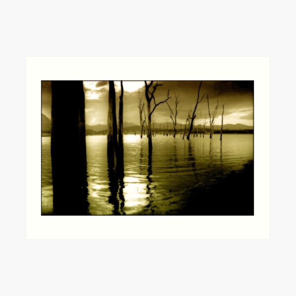 Lake Moogerah Mood Art Print