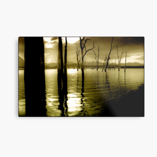 Lake Moogerah Mood Metal Print