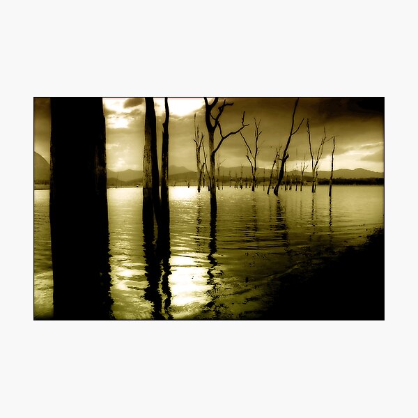 Lake Moogerah Mood Photographic Print