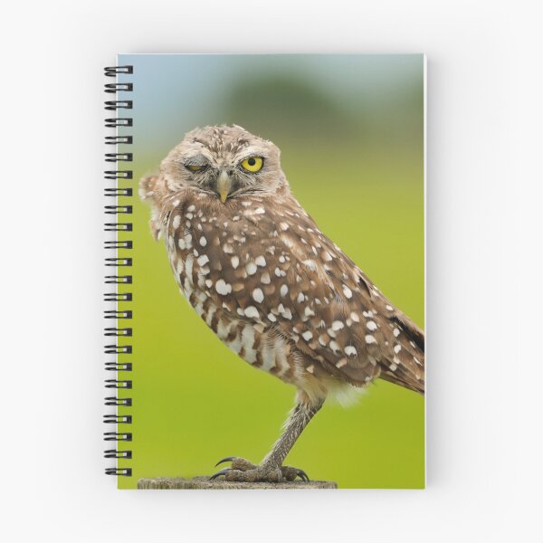 Item preview, Winking  Owl-Burrowing owl designed and sold by Bradford Martin.