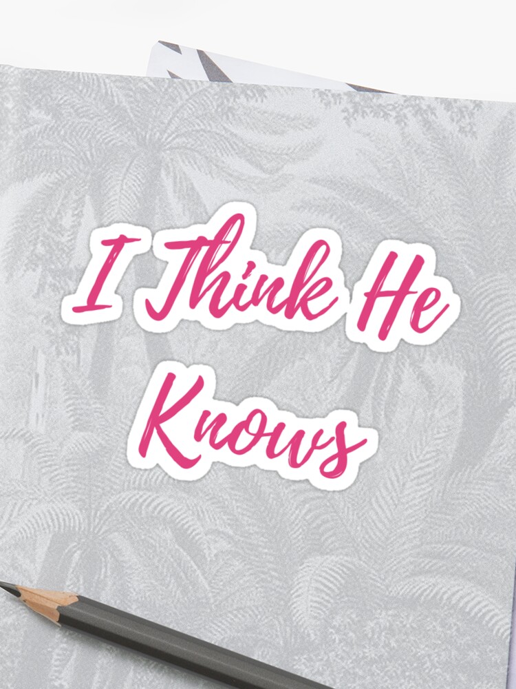 I Think He Knows Taylor Swift Lover Album Lyrics Pink Sticker By Bombalurina