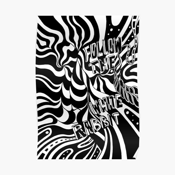 014 - Follow the white Rabbit Poster