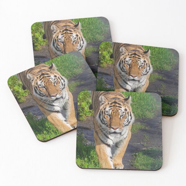 Item preview, Siberian tiger, (Panthera tigris altaica) designed and sold by Martin Leber.
