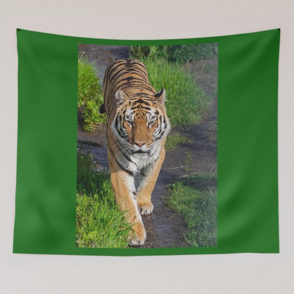 Item preview, Siberian tiger, (Panthera tigris altaica) designed and sold by Martin Leber.