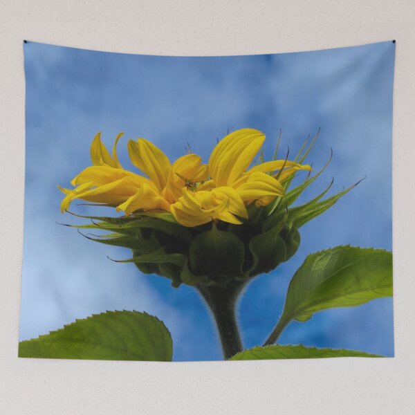 Item preview, Soft Landing designed and sold by Barry W  King.