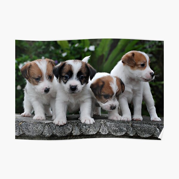 All The Boys Poster