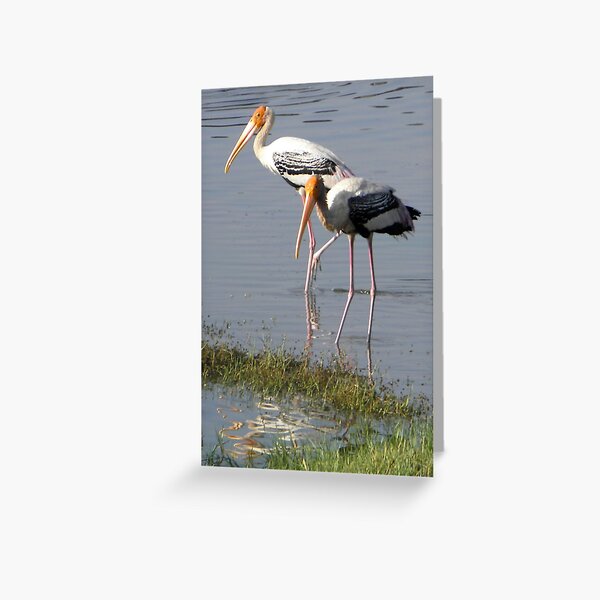 Painted Pair Greeting Card
