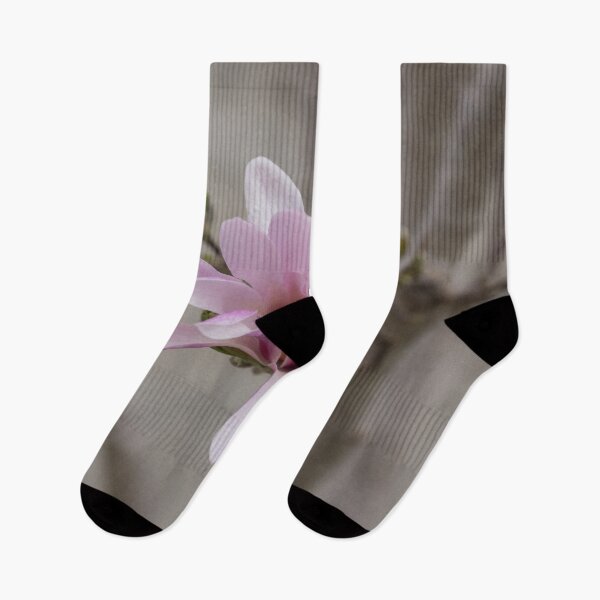 Item preview, Magnolia - Elegant Single Blossom designed and sold by Georgia Mizuleva.