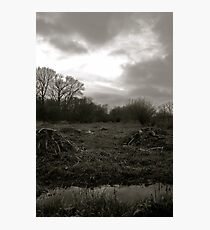 Habitat Photographic Print