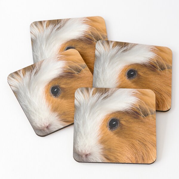 Item preview, Incredibly cute guinea pig! designed and sold by habilephoto.