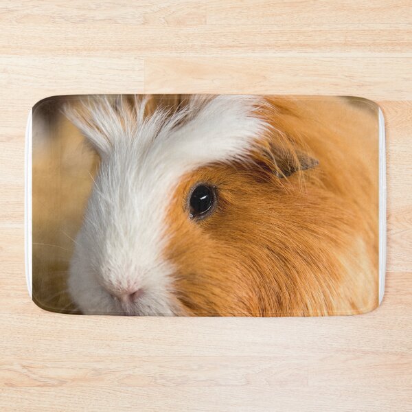 Item preview, Incredibly cute guinea pig! designed and sold by habilephoto.