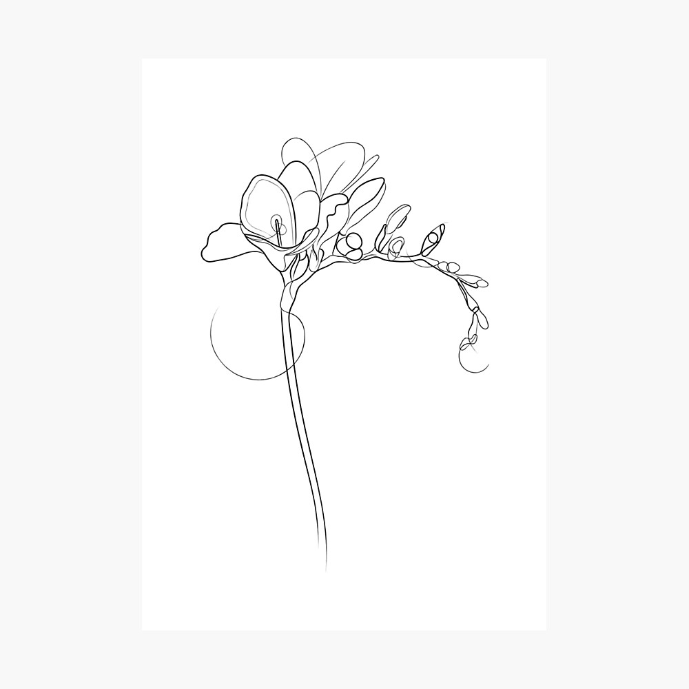 Freesia Flower Line Drawing