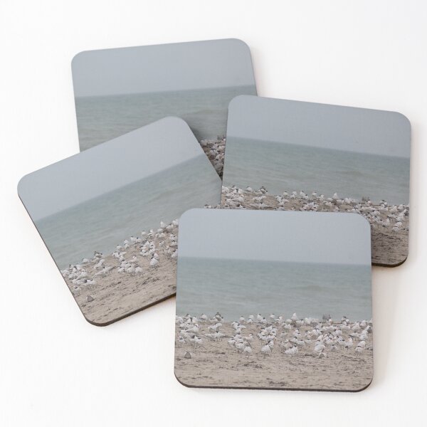 Item preview, beach birds designed and sold by Islandjunkie09.