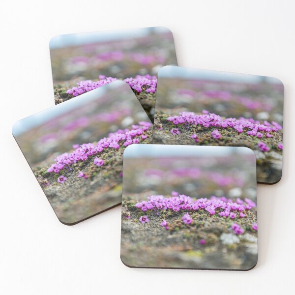 Item preview, Purple saxifrage flowers designed and sold by Mark Prior.