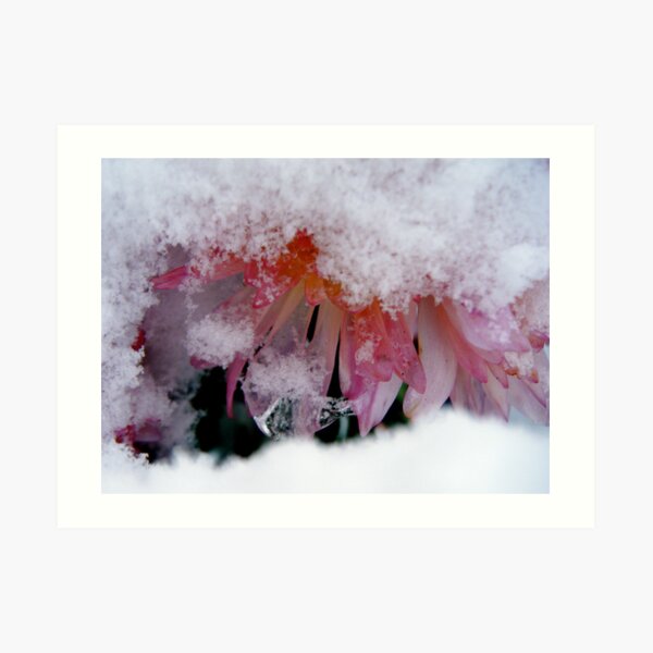 Deep Self Care: The Winter's Gift Art Print