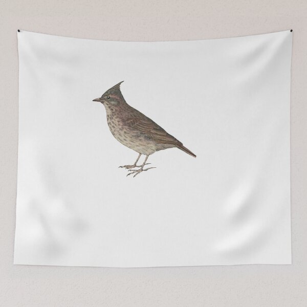 Item preview, Bird Art - crested lark - Vintage Print Art designed and sold by Studio66Designs.